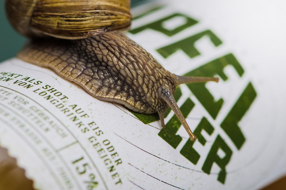 品牌包裝形象設計 品牌包裝形象設計